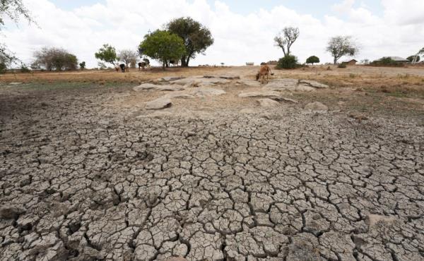 美国宣布为非洲之角旱灾提供5.24亿美元援助;德国、英国也做出了承诺