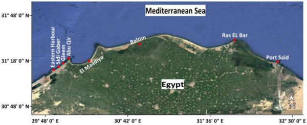 基于浮游植物多样性及其生化含量的埃及东地中海营养状况测定