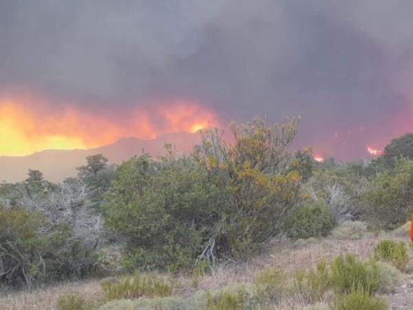 洛斯阿勒塞斯国家公园的大火已经持续了两周-大火仍在燃烧，数千公顷的土地被烧毁