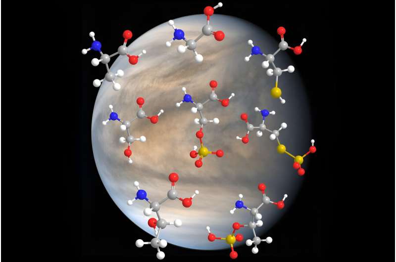 Study: Life's building blocks are surprisingly stable in Venus-like co<em></em>nditions | MIT News