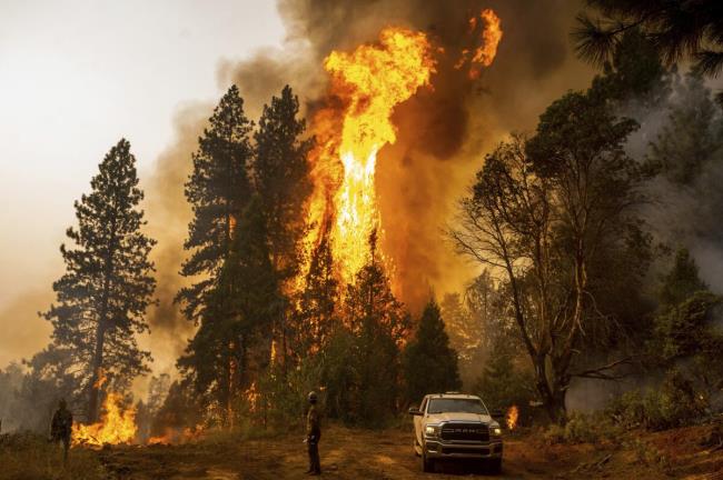 17-surprising-facts-a<em></em>bout-wildfires