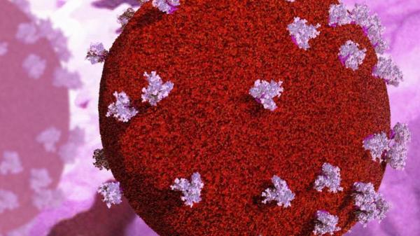 使用基因编辑工具消除细胞中的HIV 