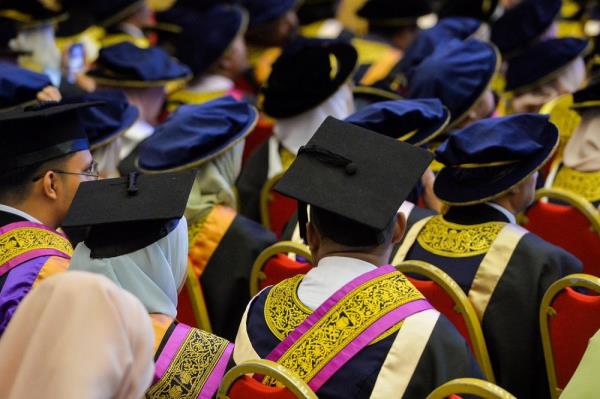 高等教育部-到2022年，非土著占公立大学入学人数的18.1%