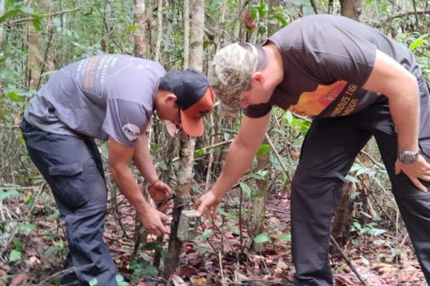 Researchers setting up camera traps in Brazil’s Mirador State Park, home to a key Leopardus tigrinus population. Camera trap records proved im<em></em>portant in identifying the differences between the three species of tiger cats. Image courtesy of the Tiger Cat Co<em></em>nservation Initiative. Article title - A tiger cat gains new species designation, but co<em></em>nservation challenges remain