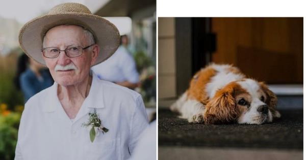惠斯勒皇家骑警正在搜寻80岁的老人和他的狗，最后一次出现是在感恩节 