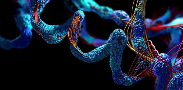 新型成像技术捕获快速蛋白质动力学