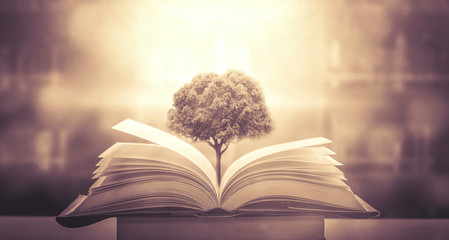 国产车哪个中控好点