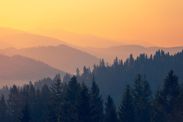 汽车有哪些保养是不用做的？