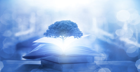 汽车有哪些保养是不用做的？