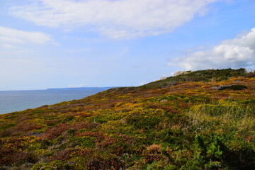国产车哪个中控好点