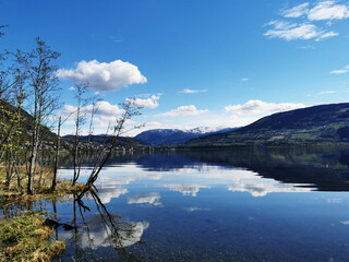 什么是召回-为什么要召回,近几年关于汽车召回的典型事件