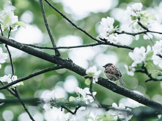 有格调的国产车推荐