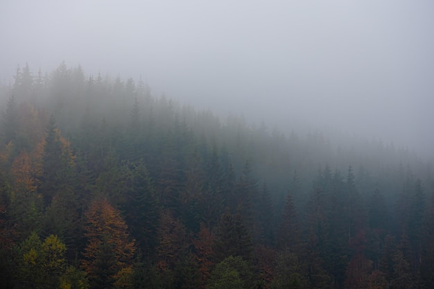 2万左右买什么车好？