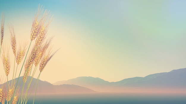 乒乓球必背口诀一览表