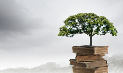 乒乓球必背口诀一览表