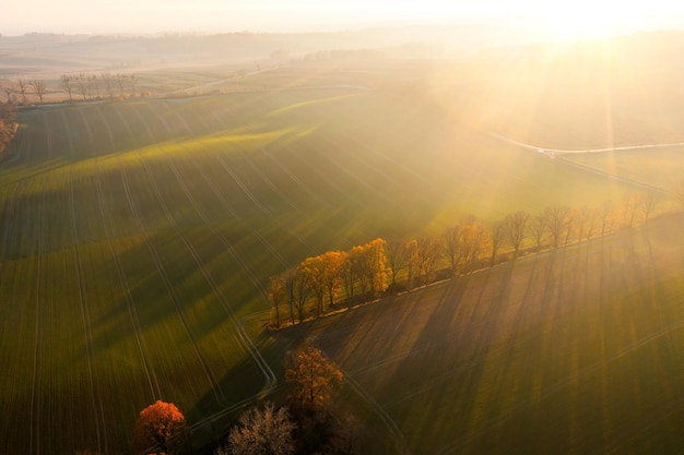 运动安全责任书